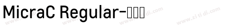 MicraC Regular字体转换